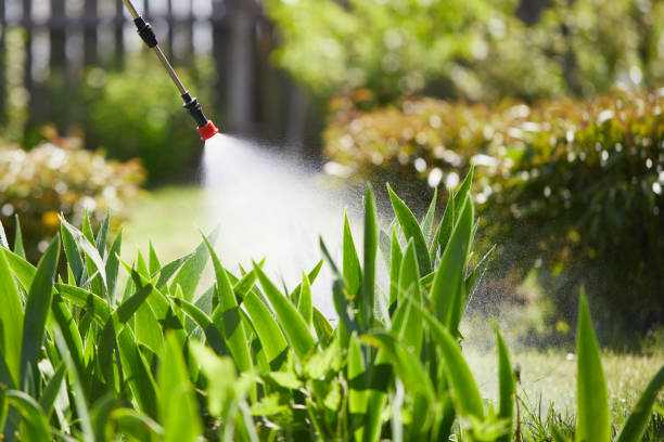 Void Injection for Cockroach Colonies in Presidential Lakes Estates