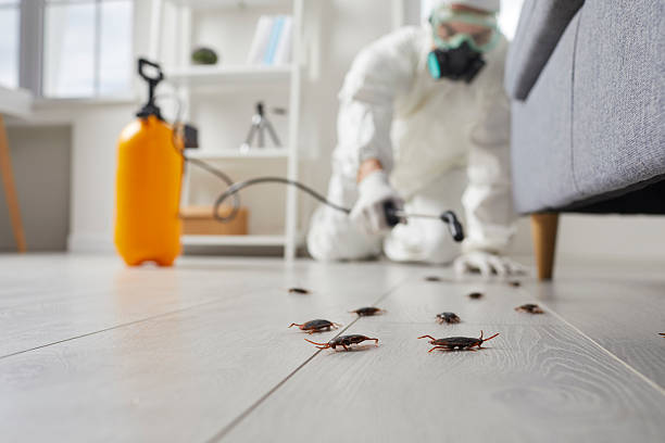 Commercial Kitchen Cockroach Control in Presidential Lakes Estates
